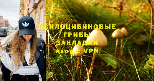 спайс Михайловка