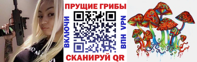 Псилоцибиновые грибы мицелий  купить  цена  Мариинский Посад 